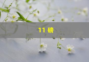 11 磅